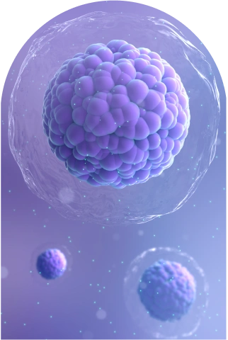 Image of cells